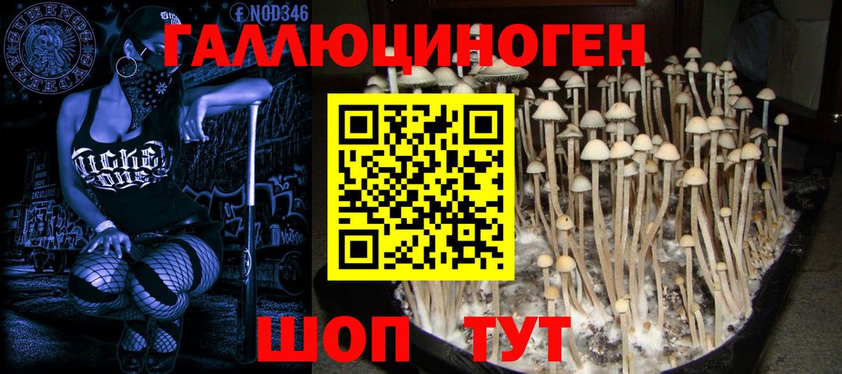 Екатеринбург  Галлюциногенные грибы Psilocybine cubensis  Вход с VPN  Псилоцибиновые грибы GOLDEN TEACHER 