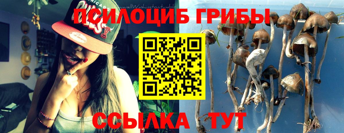 Галлюциногенные грибы ЛСД Екатеринбург